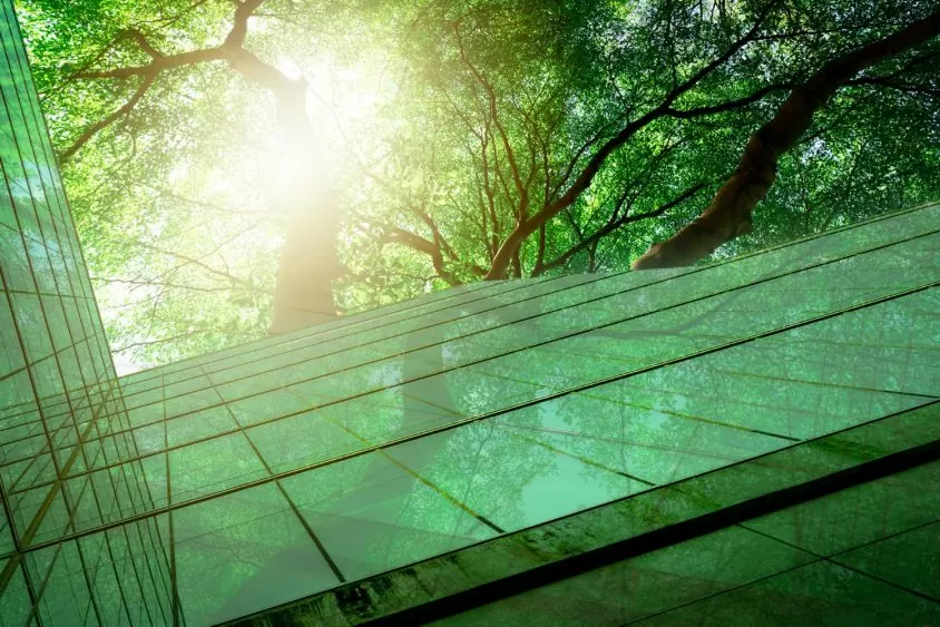 Luminosidade e sustentabilidade: o uso de vidros na arquitetura eco-friendly