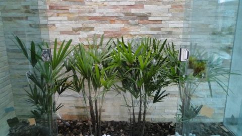 Jardim de inverno com vidro: como criar espaços aconchegantes e modernos