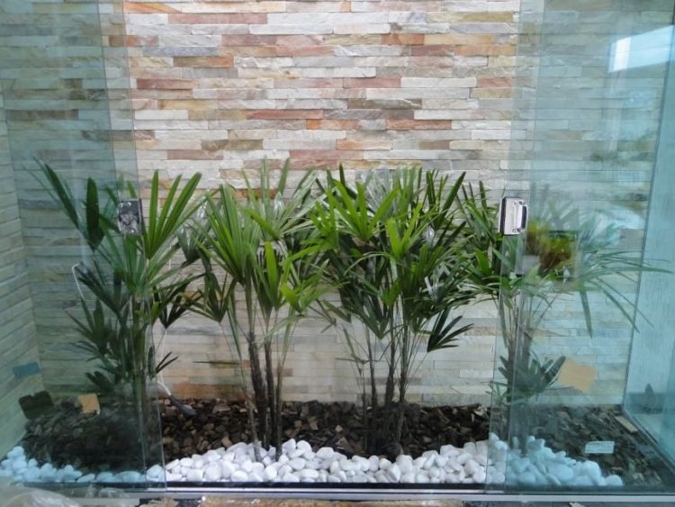 Jardim de inverno com vidro: como criar espaços aconchegantes e modernos